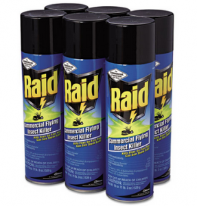 High Value $3.00/2 Raid Coupon – Couponing With GregThatDude